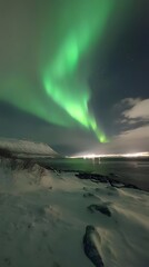 21. a stunning aurora borealis lighting up the night sky above a snowy landscape