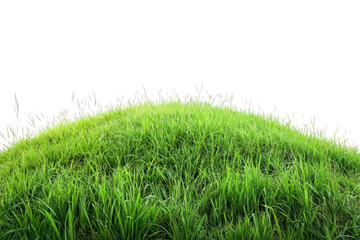 Wall Mural - Lush grass and flowers  isolated on transparent background,PNG image.	