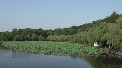 Wall Mural - Beautiful landscape of West Lake Hangzhou China with sailing boats and greenery