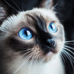 A close-up portrait of a playful Siamese cat, its unique color points and bright blue eyes capturing the essence of its playful nature