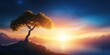 © VRVisionary - Tree overlooking the serene Mediterranean sea at sunrise Horizontal composition, Tree by the calm sea at sunrise. Horizontal composition.