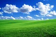 © HORA STUDIO - Beautiful landscape with a green field and blue sky