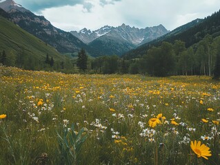 Scenic alpine meadow with wildflowers, mountains in the background and cloudy sky.