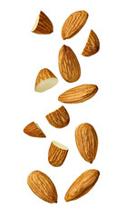 Wall Mural - almond nut food healthy organic natural ingredient snack isolated seed brown fruit closeup nutrition group