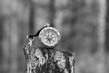 Wall Mural - classic navigation compass on natural background