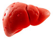 © รุ่งโรจน์ ศรีเมืองแก - 3D illustration of sick human liver isolated on transparent background PNG