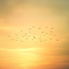 Sticker - Flock of Birds Soaring Across Golden Sky at Dusk Representing Unity and Freedom