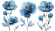 © Chelebi - Set of blue watercolor flowers, leaves and twigs on white background. Botanical watercolor painting for decorative invitations, posters, or cards