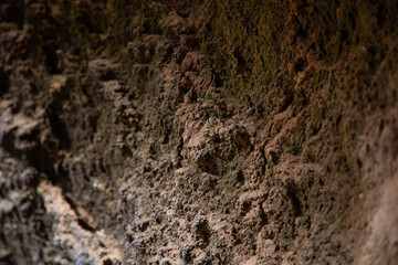 Rough and textured cave wall showing mineral deposits