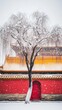 © Anna - Winter scene featuring snow-covered tree in front of a vibrant red traditional Chinese structure, exemplifying cultural and seasonal beauty.