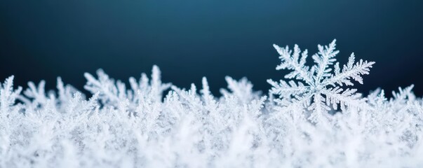 Frost-frozen snowflakes trapped in an icy window, snowflakes  frost  frozen, locked in ice