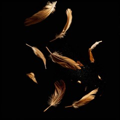 Wall Mural - Feathers falling in dark