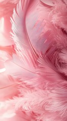 Poster - Elegant pink feather texture on soft pink background for luxurious design concepts.