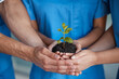 © CineLens2024/peopleimages.com - Doctor, team and hands with plant and soil for accountability, sustainability and eco friendly practice. Hospital, earth and leaf with commitment to recycle medical waste with growth and dirt