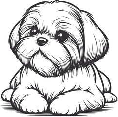 Wall Mural - Line Art Cute Shih Tzu Dog line drawing vector illustration