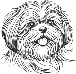 Wall Mural - Line Art Cute Shih Tzu Dog line drawing vector illustration