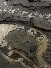 Sand texture with water