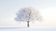 © WINGGOD - Tree with thick, bare branches covered in frost, standing on a white background