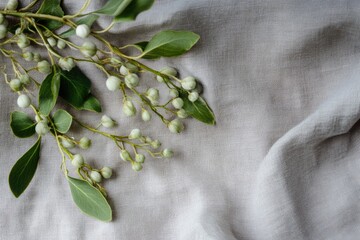 Wall Mural - Sprig of Green Leaves and Buds on a Gray Textured Fabric