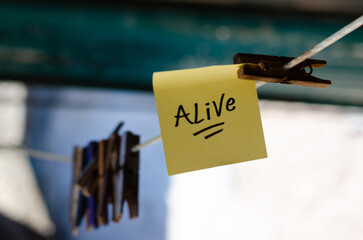 Motivational Word In A Yellow Square Paper Outdoor Composition