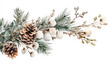 © lmot11 - Watercolor Christmas frame with space for text with fir branches, pine cone, cotton, leaves isolated on white background. Botanical winter greenery holiday illustration for wedding invitation card