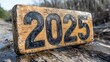 © aicandy - An aged wooden sign with bold black numbers '2025' weathered by the elements, placed outdoors in a natural setting, suggesting themes of future, time, or a specific year