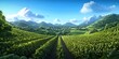 © VRVisionary - Panoramic view of lush vineyards in a picturesque landscape, Panoramic view of vibrant vineyards in a scenic landscape