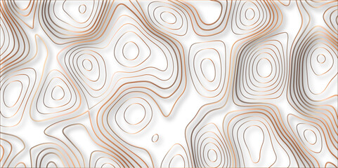 Topographic canyon geometric map relief texture with curved layers and shadow. abstract White background with a beautiful pattern, Topographic contour lines vector map seamless pattern vector.	
