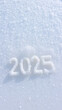 © Rysak - year 2025 written snow