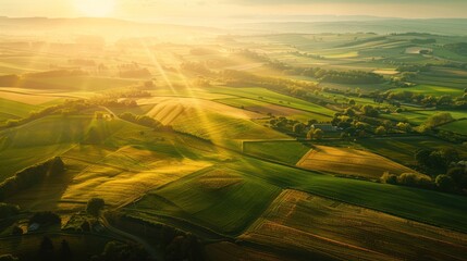 Wall Mural - golden hour over rolling hills