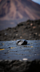 Canvas Print - single black rock on a textured surface