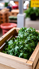 Canvas Print - crate filled with fresh green leafy vegetables