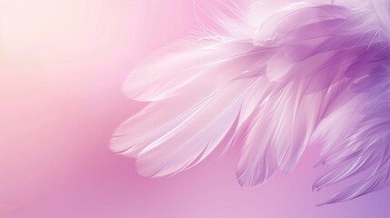 Canvas Print - Delicate White Feathers on a Pink Background