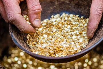 A gold miner panning for gold in a river, with small flakes of gold glistening in the water-filled pan