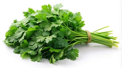 Wall Mural - Fresh coriander bunch isolated on white background