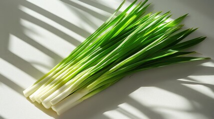 Wall Mural - Fresh Green Onion Stalks on a White Surface with Light and Shadows