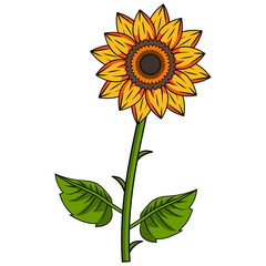 Poster - Sunflower Illustration With Outline