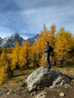 © Cavan Images - Man hiking among yellow larch trees and mountains on fall day.