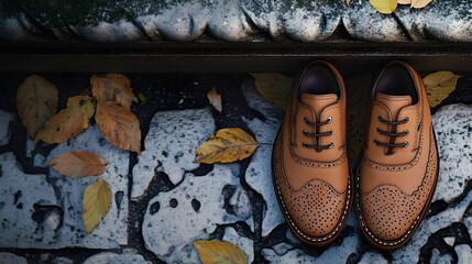 A pair of stylish brown shoes on a textured surface with autumn leaves.