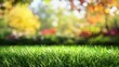 © AssanAI.Studio - Close Up of Blurred Green Grass in a Garden