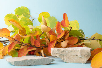 A podium made of two stones and autumn orange leaves on a blue background.