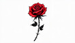 © NeuroArtStream - Single red rose with thorny stem on white background