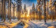 © Kukar Studio - A Path Through a Winter Forest Bathed in Golden Sunlight, Snow Covered Trees Casting Long Shadows