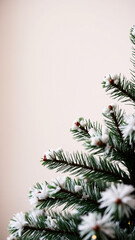 Wall Mural - close- a decorated pine branch with white ornaments