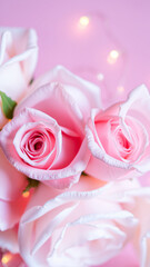 Sticker - close- delicate pink roses with soft lighting