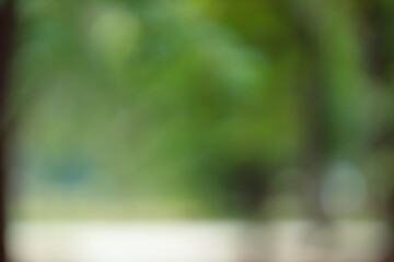 Fototapete - Forest background out of focus. Soft image with sunny weather. Round bokeh. Green background for design.