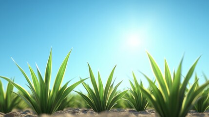 Vibrant green grass under a clear blue sky with sunlight shining down.