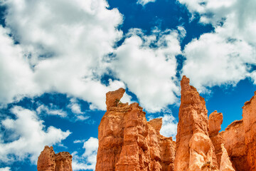 Canvas Print - Amazing landscape of Bryce Canyon National Park in summer season, Utah