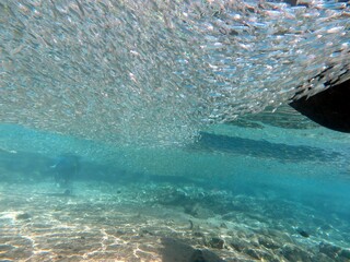 small boat from under water and sardines around