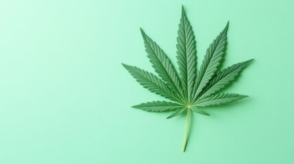 Single cannabis leaf on a light green background. The minimalist design emphasizes the natural and medicinal qualities of the plant.